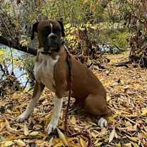 Thumbnail photo of Big Jim #2