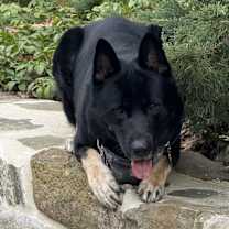 Thumbnail photo of Ghost #3