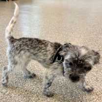 Thumbnail photo of SYDNEY #3