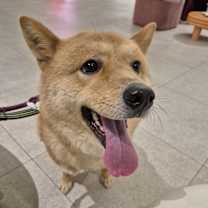 Thumbnail photo of Philip (HDS) #1