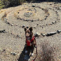 Thumbnail photo of Ruby #4