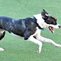 Thumbnail photo of Flint #3