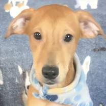 Thumbnail photo of ANDY #1