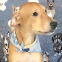 Thumbnail photo of ANDY #2