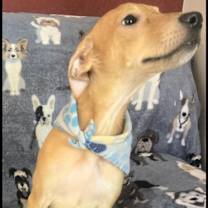 Thumbnail photo of ANDY #3