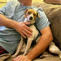 Thumbnail photo of Buzz & Woody #4