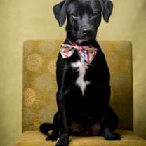 Thumbnail photo of Catcher #1