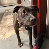 Thumbnail photo of Cloe #1