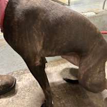 Thumbnail photo of Cloe #2