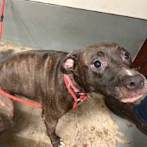 Thumbnail photo of Cloe #3