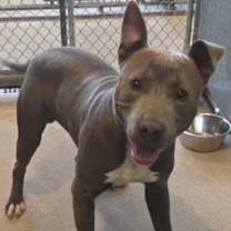 Thumbnail photo of Hank #3