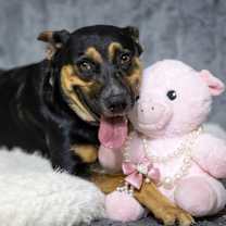 Thumbnail photo of Dora Dayton #2