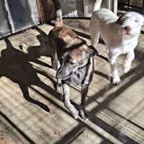 Thumbnail photo of TUCKER #4