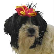 Thumbnail photo of Marseille #1