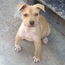 Thumbnail photo of Rubencito #4