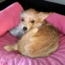 Thumbnail photo of Marti #2