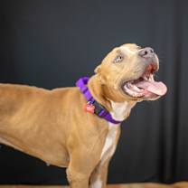 Thumbnail photo of Marco (Sponsored) #2