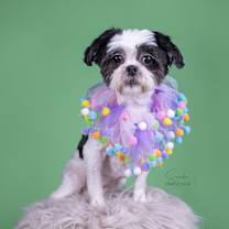 Thumbnail photo of Zoe #2