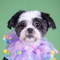 Thumbnail photo of Zoe #1