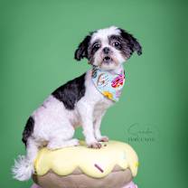 Thumbnail photo of Zoe #4