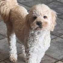 Thumbnail photo of Freddie #3