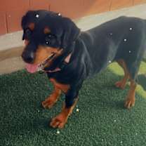 Thumbnail photo of Demi #3