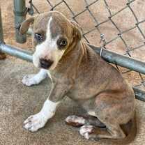 Thumbnail photo of Lightning Nightning #2