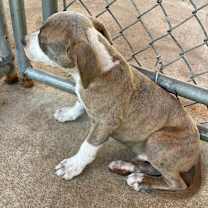 Thumbnail photo of Lightning Nightning #4