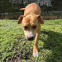 Thumbnail photo of Jeff #3