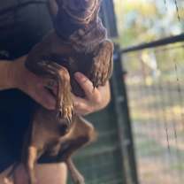 Thumbnail photo of Billy #1