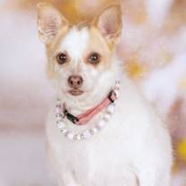 Thumbnail photo of AnnaBella (knows Bella) #2