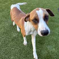 Thumbnail photo of Monster #3