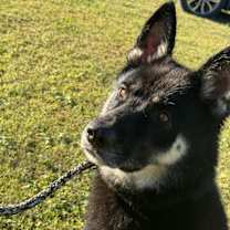 Thumbnail photo of Bruce #1