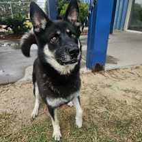 Thumbnail photo of Bruce #2