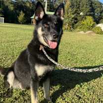 Thumbnail photo of Bruce #3