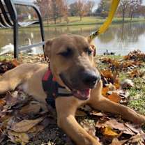 Thumbnail photo of Fleetwood #2