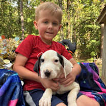 Thumbnail photo of Elroy ~ meet me ~ #4