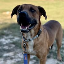 Thumbnail photo of Jaxon #1