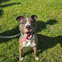 Thumbnail photo of Bruce #1