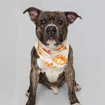 Thumbnail photo of Tom #2