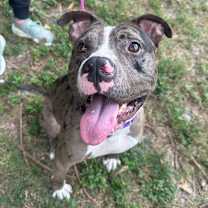 Thumbnail photo of Bruce #2