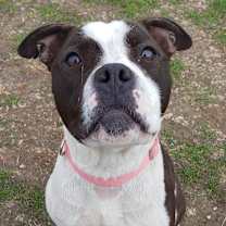 Thumbnail photo of Myrtle #1