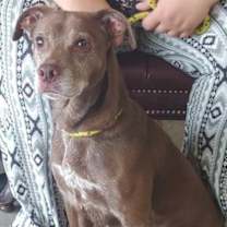 Thumbnail photo of Cynthia #2