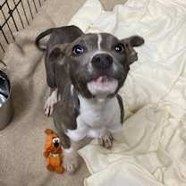 Thumbnail photo of Bonfire #2