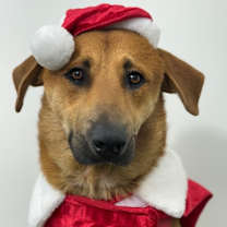 Thumbnail photo of Kenny #1