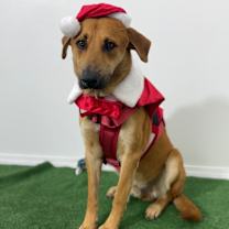 Thumbnail photo of Kenny #2