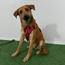 Thumbnail photo of Kenny #3