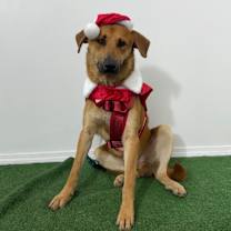 Thumbnail photo of Kenny #4