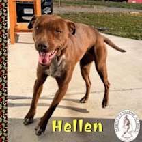Thumbnail photo of Hellen #1