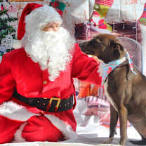 Thumbnail photo of Wanda JC #2